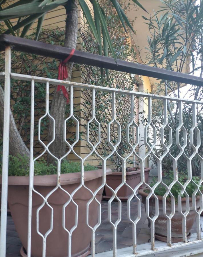 Le Stanze Di Ginevra - Via Tescione Hotell Caserta Eksteriør bilde